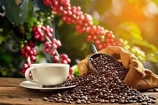 Thị trường nông sản ngày 27/1: Hồ tiêu giảm nhẹ, cà phê lên mốc 42.000 đồng/kg - Ảnh 1.
