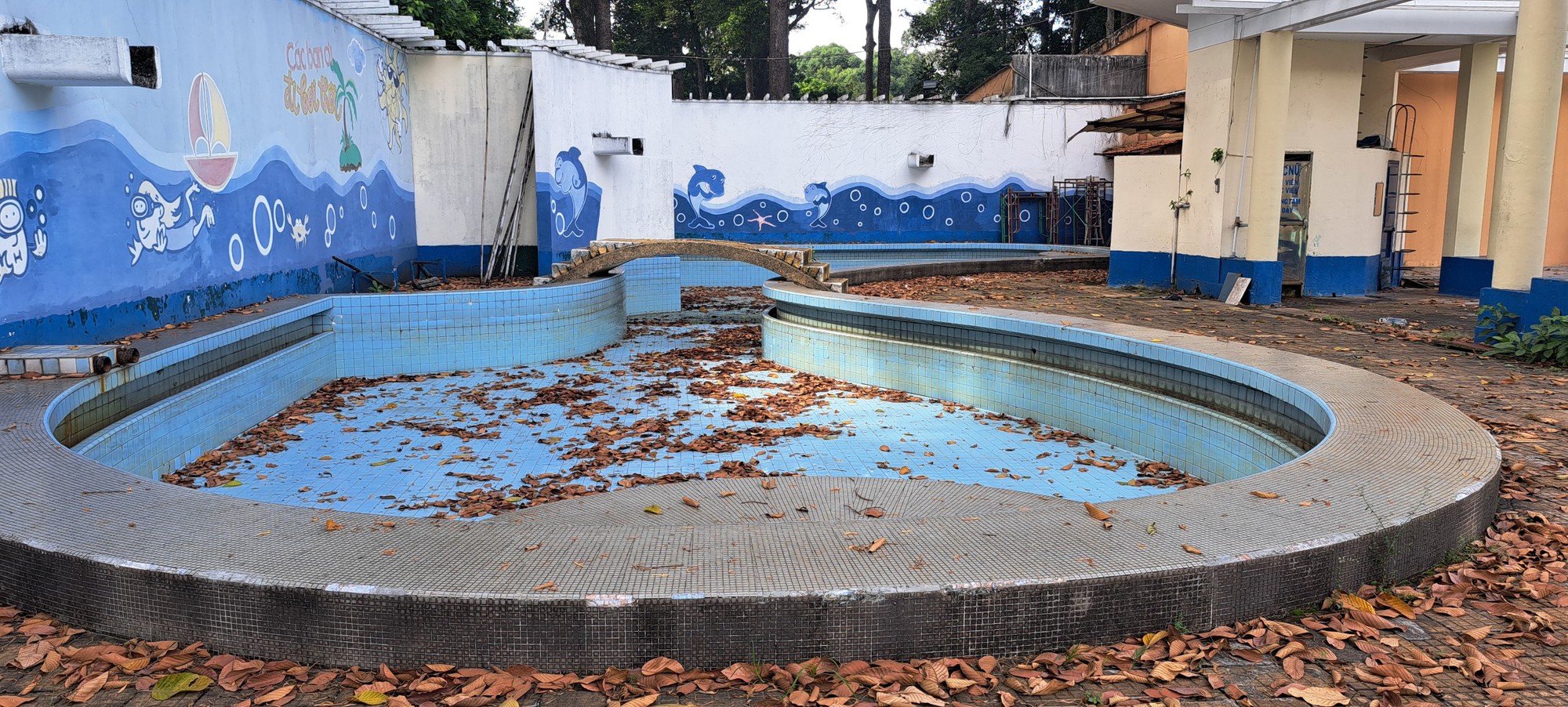 Cải tạo hồ bơi trong Cung Văn hóa Lao động TP.HCM- Ảnh 1.