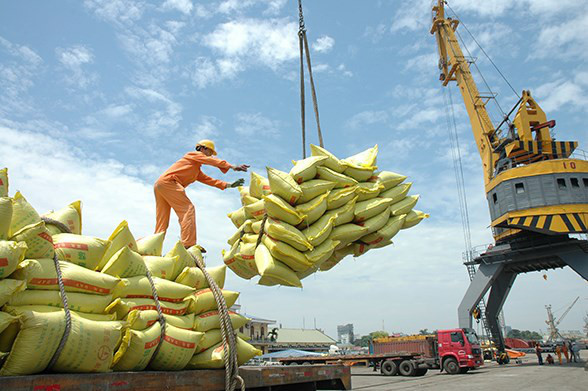 Giá gạo xuất khẩu của Việt Nam lập đỉnh 15 năm - Ảnh 1.