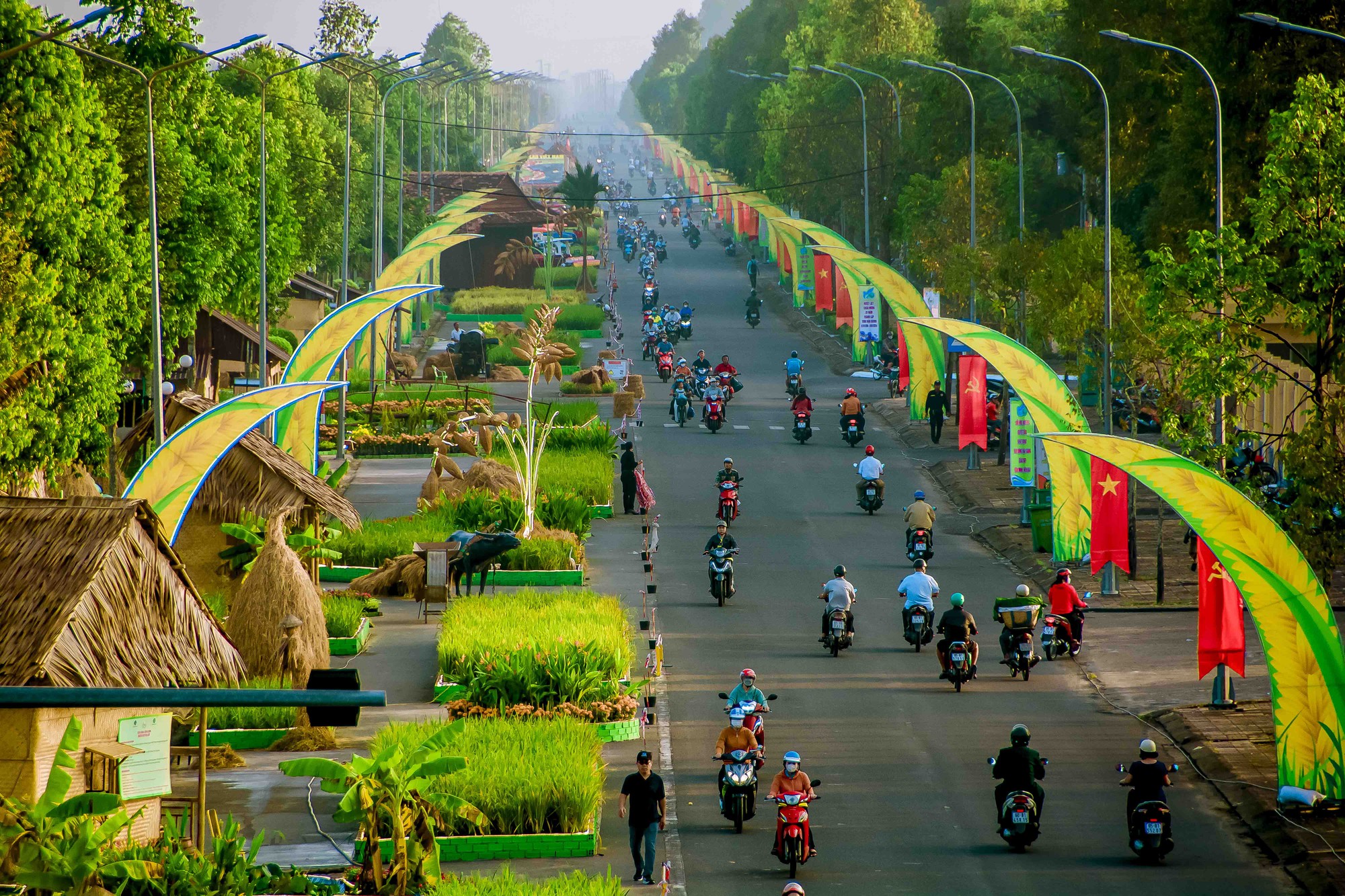 Hậu Giang: Triển lãm con đường lúa gạo Việt Nam - Hành trình ngàn năm ...