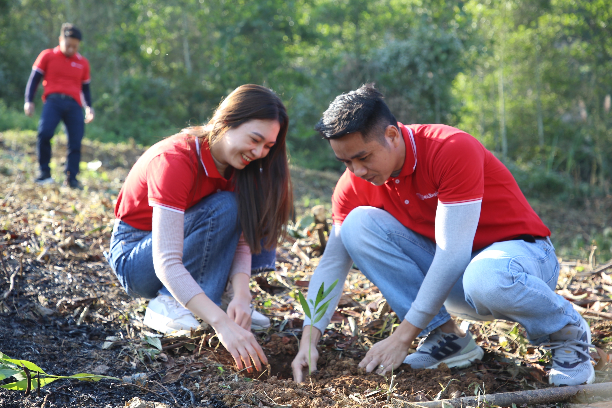 SeABank tiếp tục phủ xanh 3ha rừng phòng hộ tại Thanh Hóa, hướng tới phát triển bền vững- Ảnh 1.