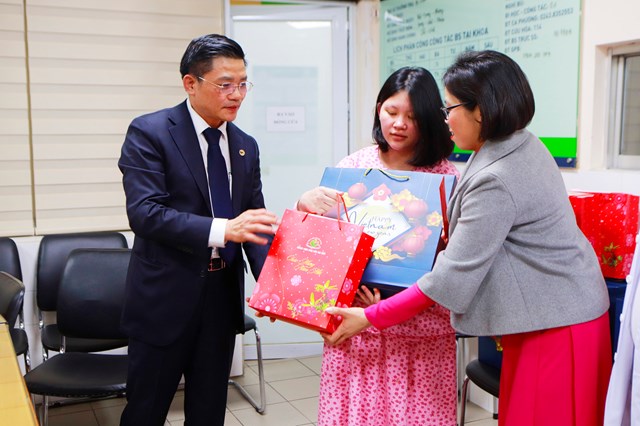Bệnh viện Phụ sản Hà Nội đón nhận danh hiệu Anh hùng Lao động thời kỳ đổi mới - Ảnh 2.