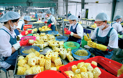 Công ty Cổ phần Thực phẩm xuất khẩu Đồng Giao: Nâng tầm giá trị nông sản Việt Nam - Ảnh 3.