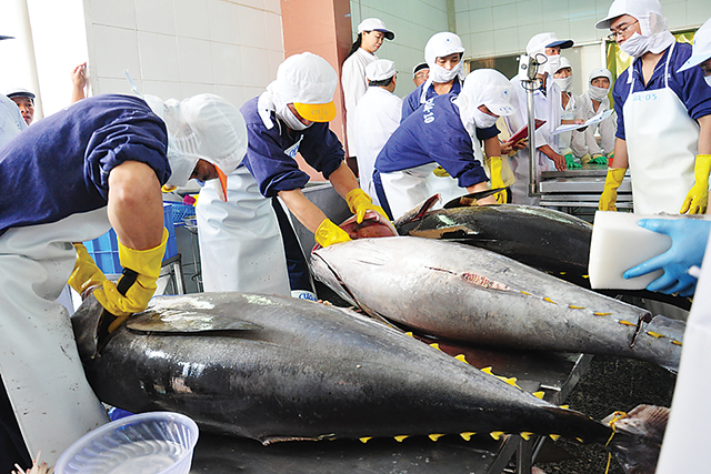 Tận dụng CPTPP, xuất khẩu cá ngừ Việt Nam sang Mexico tăng trưởng mạnh - Ảnh 1.