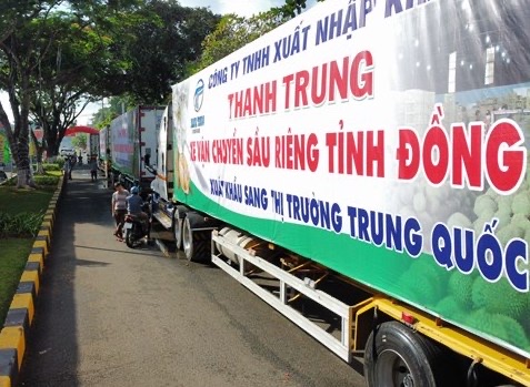 Lần đầu tiên sầu riêng Đồng Nai vào thị trường Trung Quốc bằng đường chính ngạch - Ảnh 4.