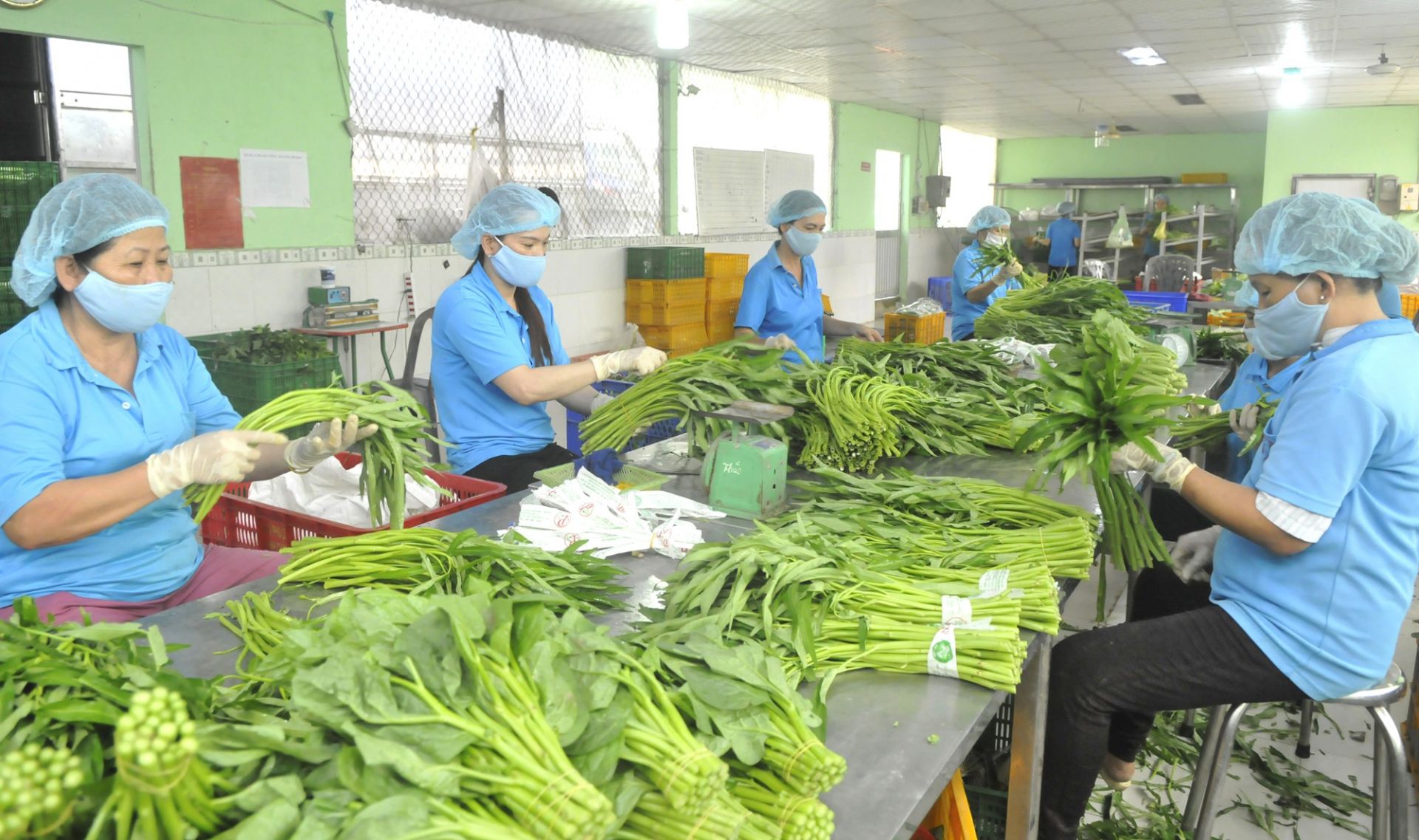 6 tháng đầu năm, Việt Nam xuất siêu gần 13 tỷ USD - Ảnh 8.
