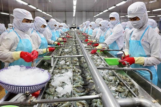 Xuất khẩu tôm Việt Nam sang Hàn Quốc giảm 29% - Ảnh 1.