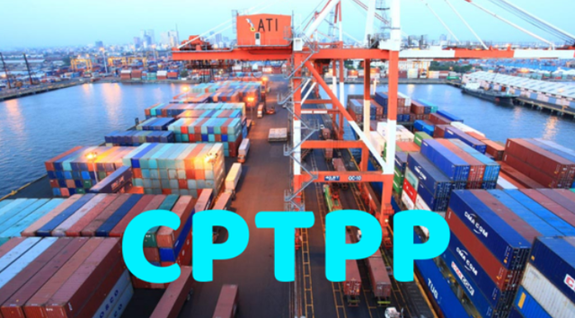 Thêm 3 nước được áp dụng thuế xuất nhập khẩu ưu đãi theo Hiệp định CPTPP - Ảnh 1.