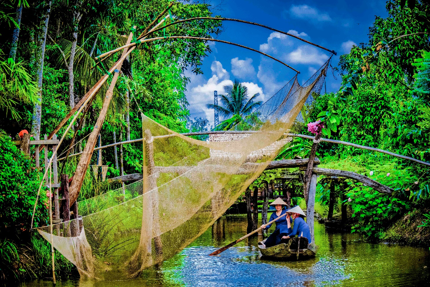 Cần Thơ: Kinh tế - xã hội huyện Phong Điền 9 tháng tăng trưởng khá- Ảnh 2.