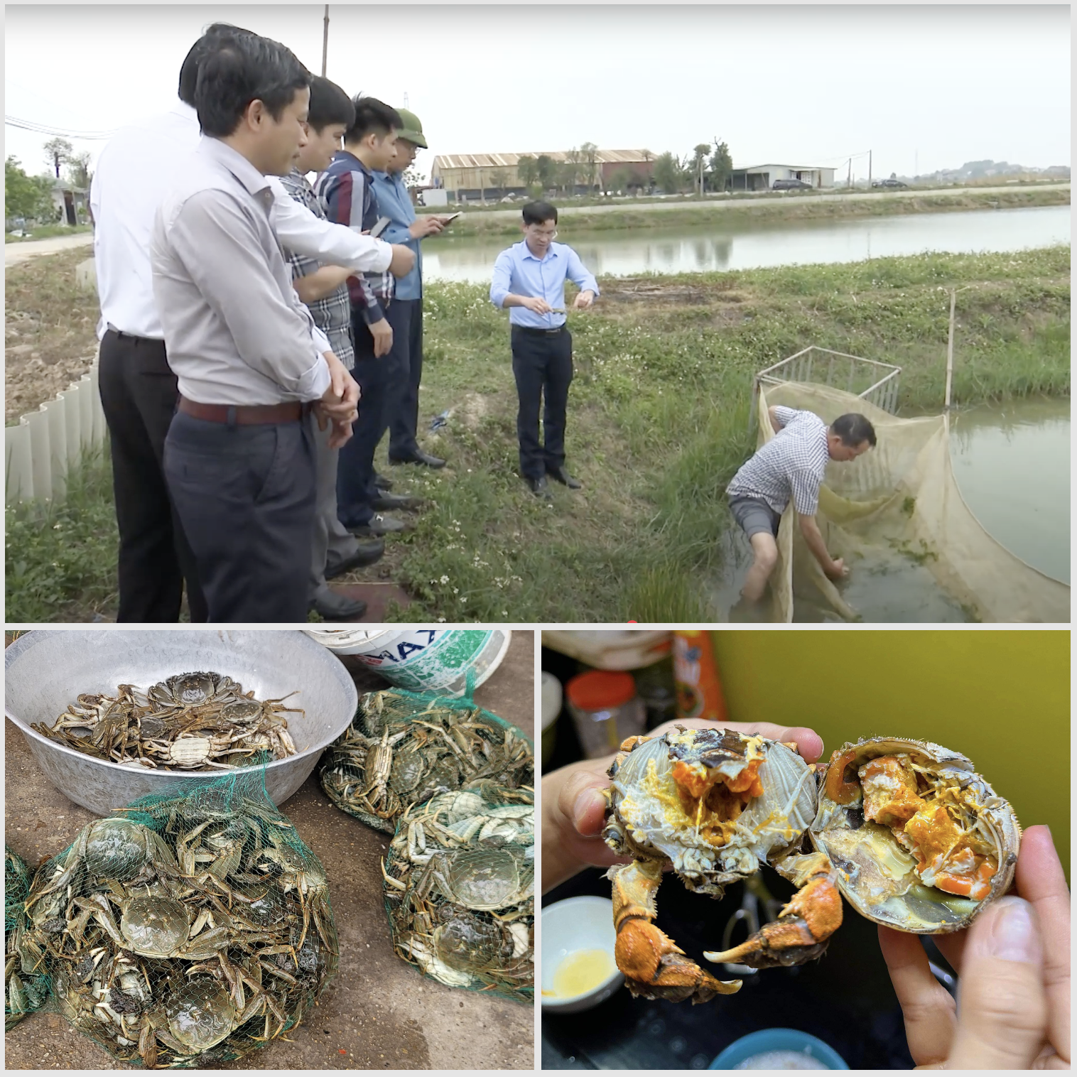 Bắc Giang: Đặc sản cua da, hương vị độc đáo và giá trị văn hóa- Ảnh 3.