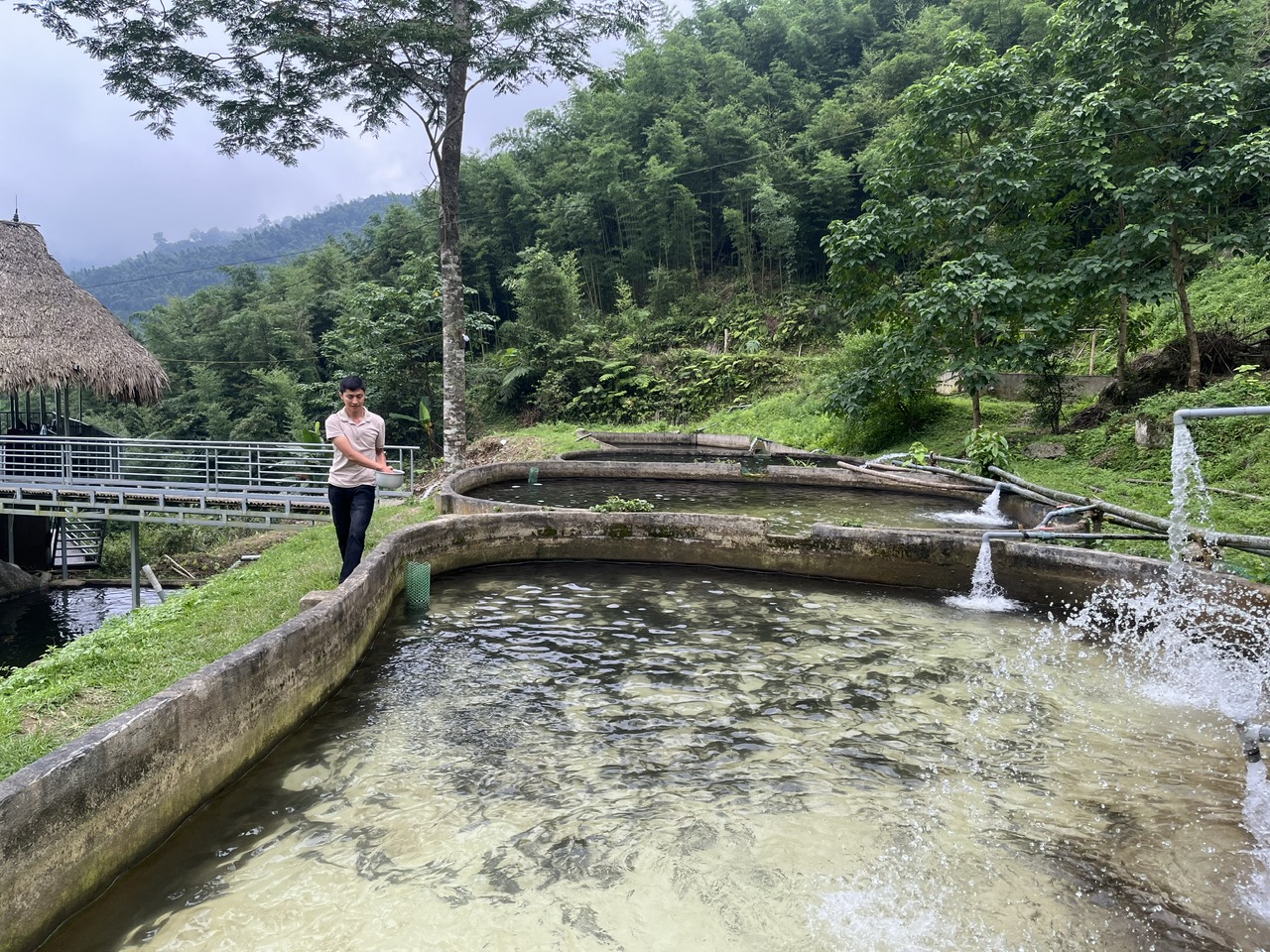 A person standing next to a pond  Description automatically generated