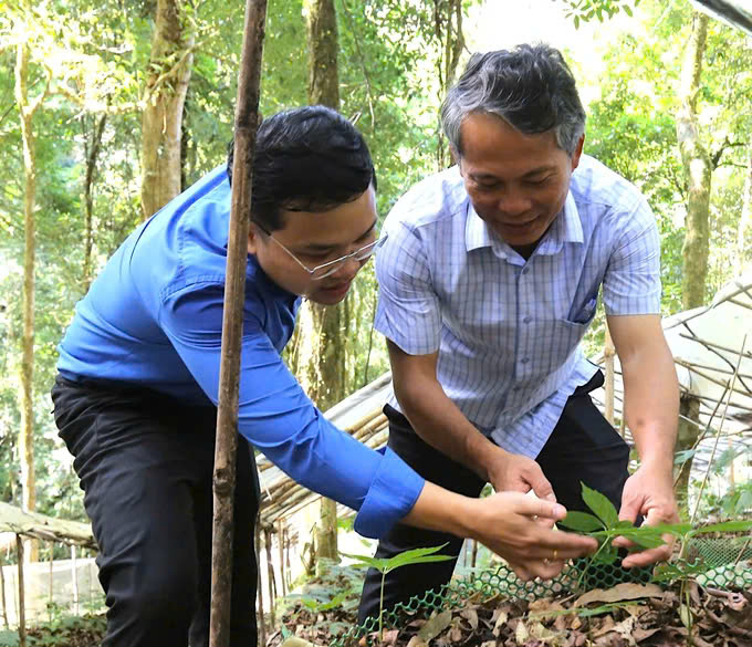 Nhiều kỳ vọng từ hội thảo sâm Ngọc Linh- Ảnh 3.