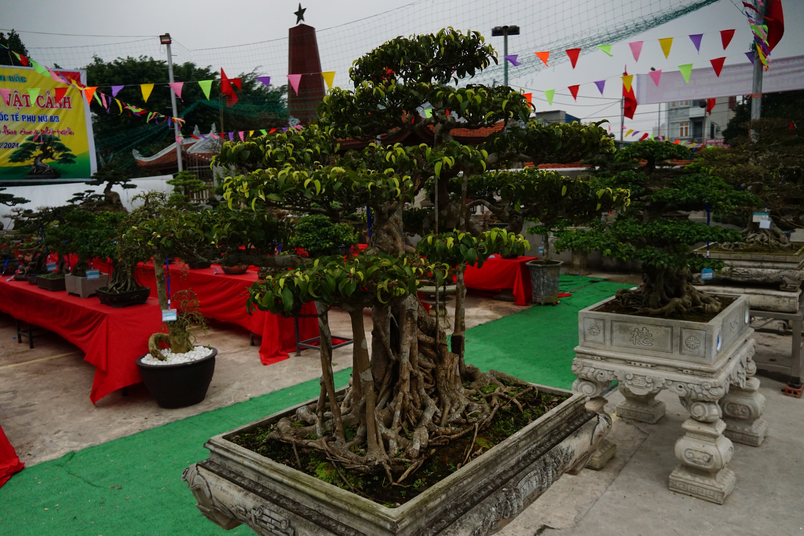 Thái Bình: Tổ chức triển lãm sinh vật cảnh tại xã Tân Lập năm 2024- Ảnh 6.