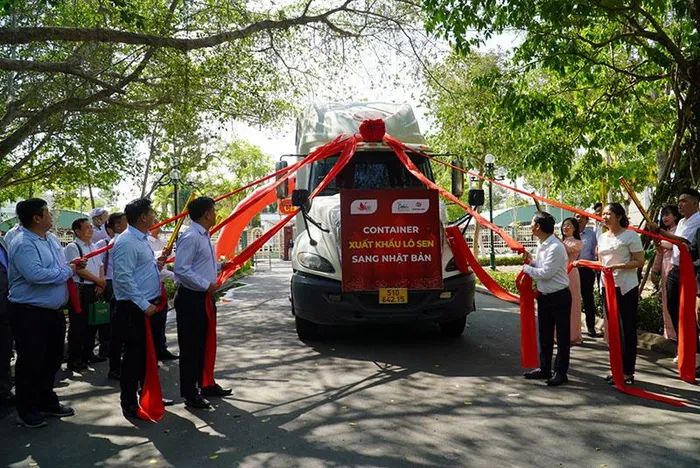 Đồng Tháp: Lần đầu tiên xuất khẩu 15 tấn củ sen sang Nhật Bản- Ảnh 1.