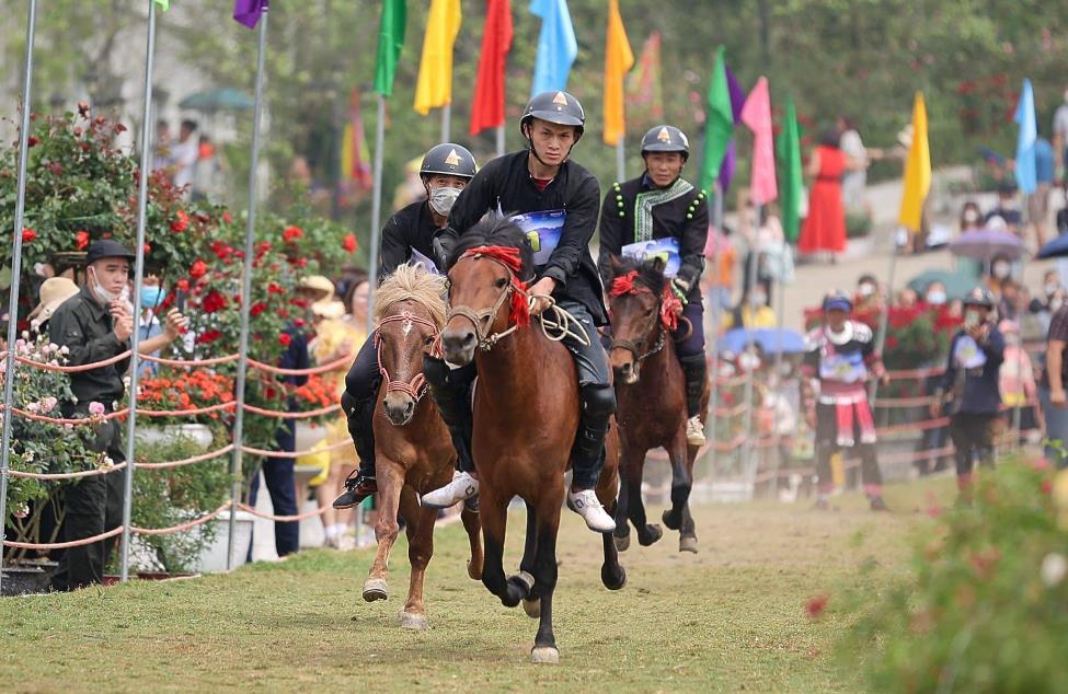 Du khách rủ nhau lên Fansipan tránh nóng, ngắm hoa- Ảnh 3.