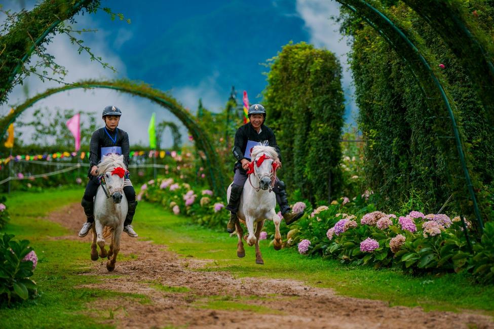 Du khách tới Sa Pa hào hứng cổ vũ cho những chú ngựa ‘tung vó đạp mây’- Ảnh 3.