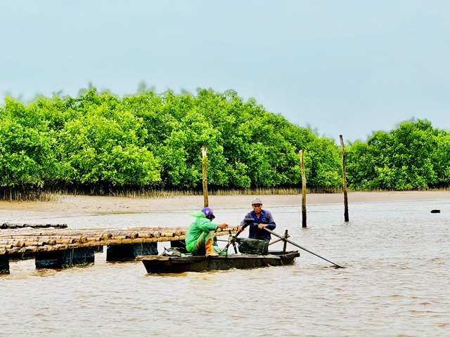 Phát triển kinh tế gắn liền với bảo vệ môi trường- Ảnh 7. Phát triển kinh tế gắn liền với bảo vệ môi trường- Ảnh 7.