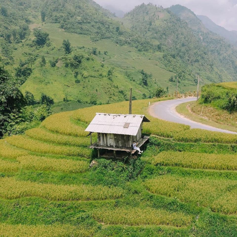 Sa Pa mùa lúa xanh - thiên đường nơi hạ giới- Ảnh 5.