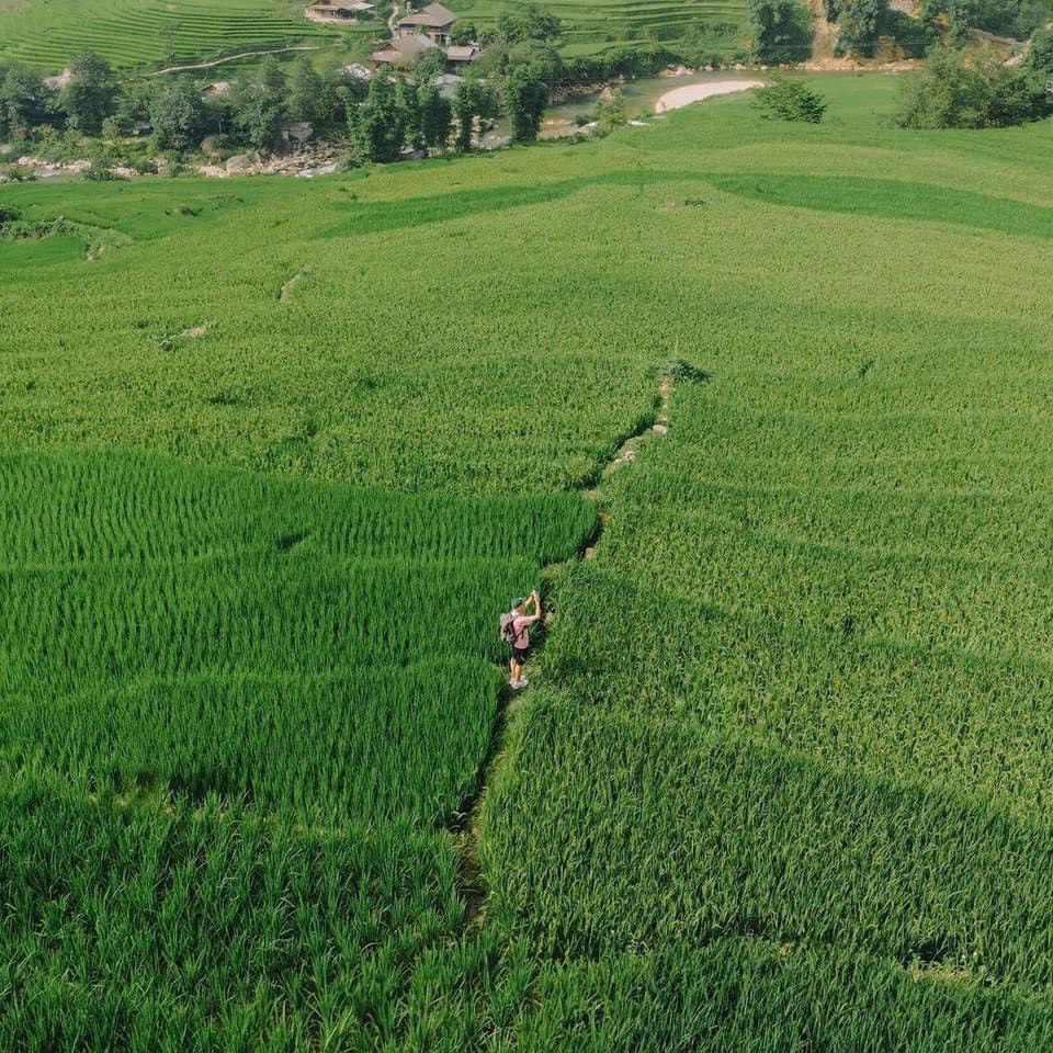 Sa Pa mùa lúa xanh - thiên đường nơi hạ giới- Ảnh 8.