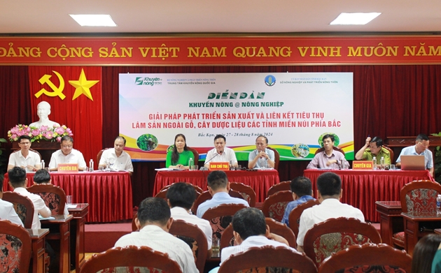 Diễn đàn về giải pháp phát triển sản xuất và liên kết tiêu thụ lâm sản- Ảnh 1. Diễn đàn về giải pháp phát triển sản xuất và liên kết tiêu thụ lâm sản- Ảnh 1.