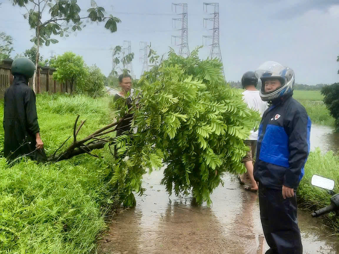 Thái Bình: Huyện Vũ Thư triển khai nhiều giải pháp khắc phục thiệt hại do bão- Ảnh 3.