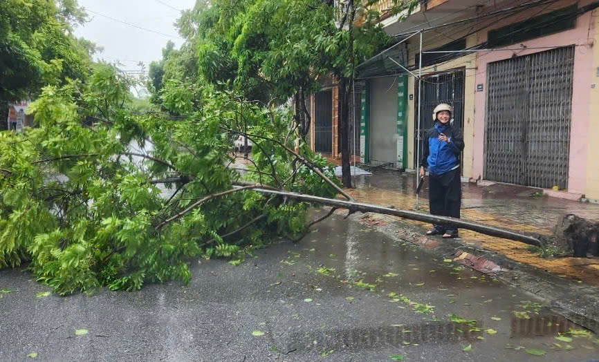 Thái Bình: Huyện Vũ Thư triển khai nhiều giải pháp khắc phục thiệt hại do bão- Ảnh 4.