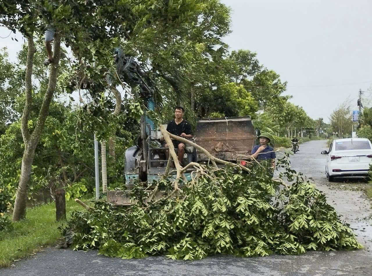 Thái Bình: Huyện Vũ Thư triển khai nhiều giải pháp khắc phục thiệt hại do bão- Ảnh 6.