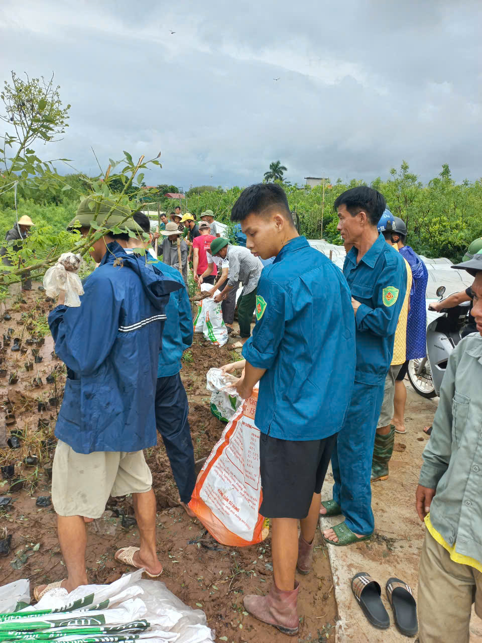 Nước lũ dâng cao, Thái Bình ra công điện khẩn- Ảnh 5.