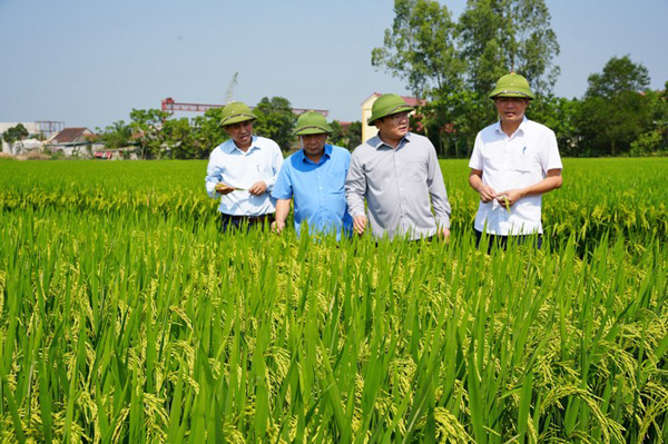 Nghệ An: Triển khai thực hiện Phương án Tổng điều tra nông thôn, nông nghiệp năm 2025 - Ảnh 1.