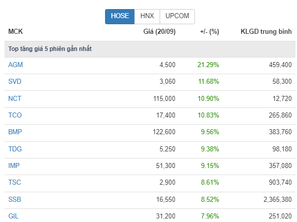 Lăng kính đầu tư: Sóng tăng ngắn hạn cuối tháng 9 của VN-Index- Ảnh 2.