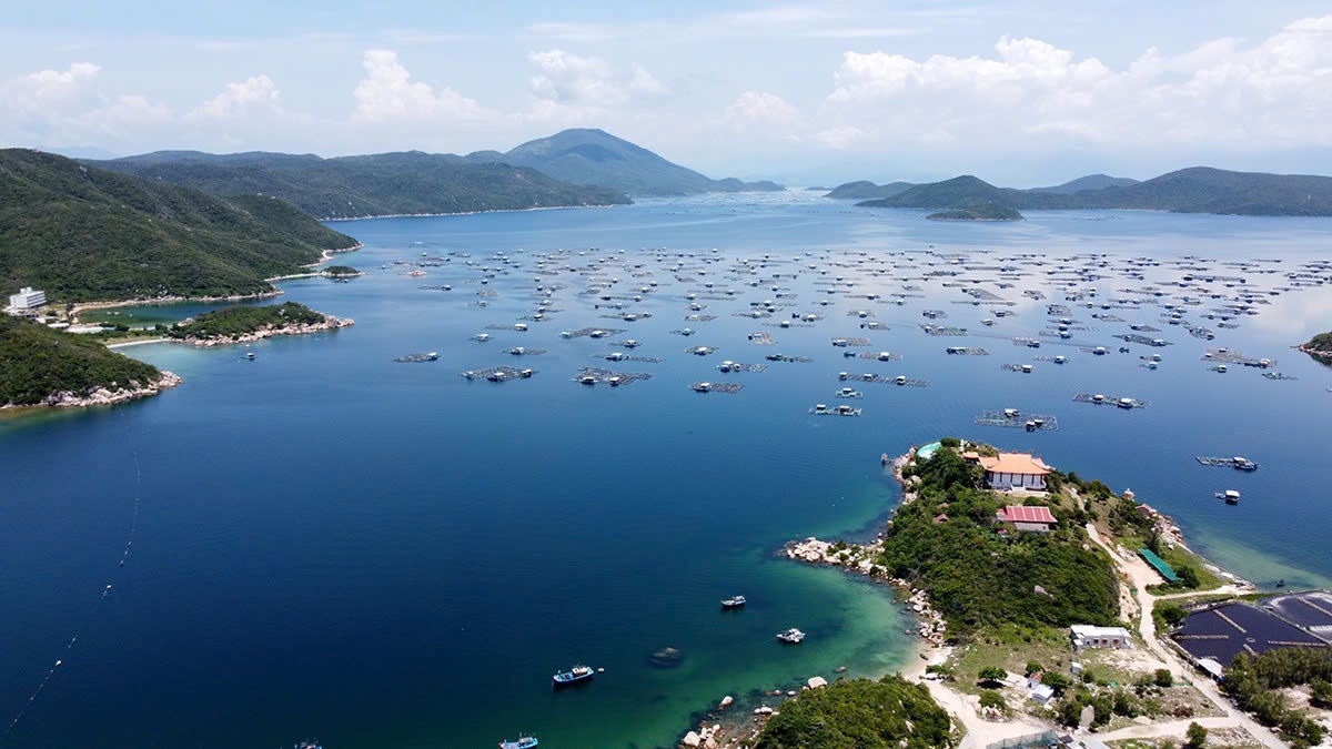 Nha Trang - Viên ngọc xanh khác biệt trên bản đồ du lịch Việt Nam- Ảnh 3. Nha Trang - Viên ngọc xanh khác biệt trên bản đồ du lịch Việt Nam- Ảnh 3.