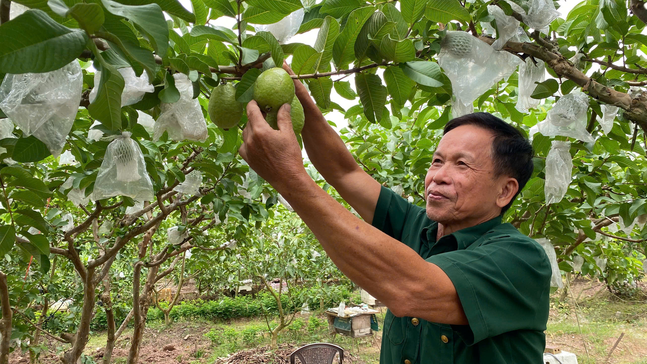 Người giữ hồn mật ngọt: Ba mươi năm và giấc mơ giữ nghề cho con cháu- Ảnh 8. Người giữ hồn mật ngọt: Ba mươi năm và giấc mơ giữ nghề cho con cháu- Ảnh 8.