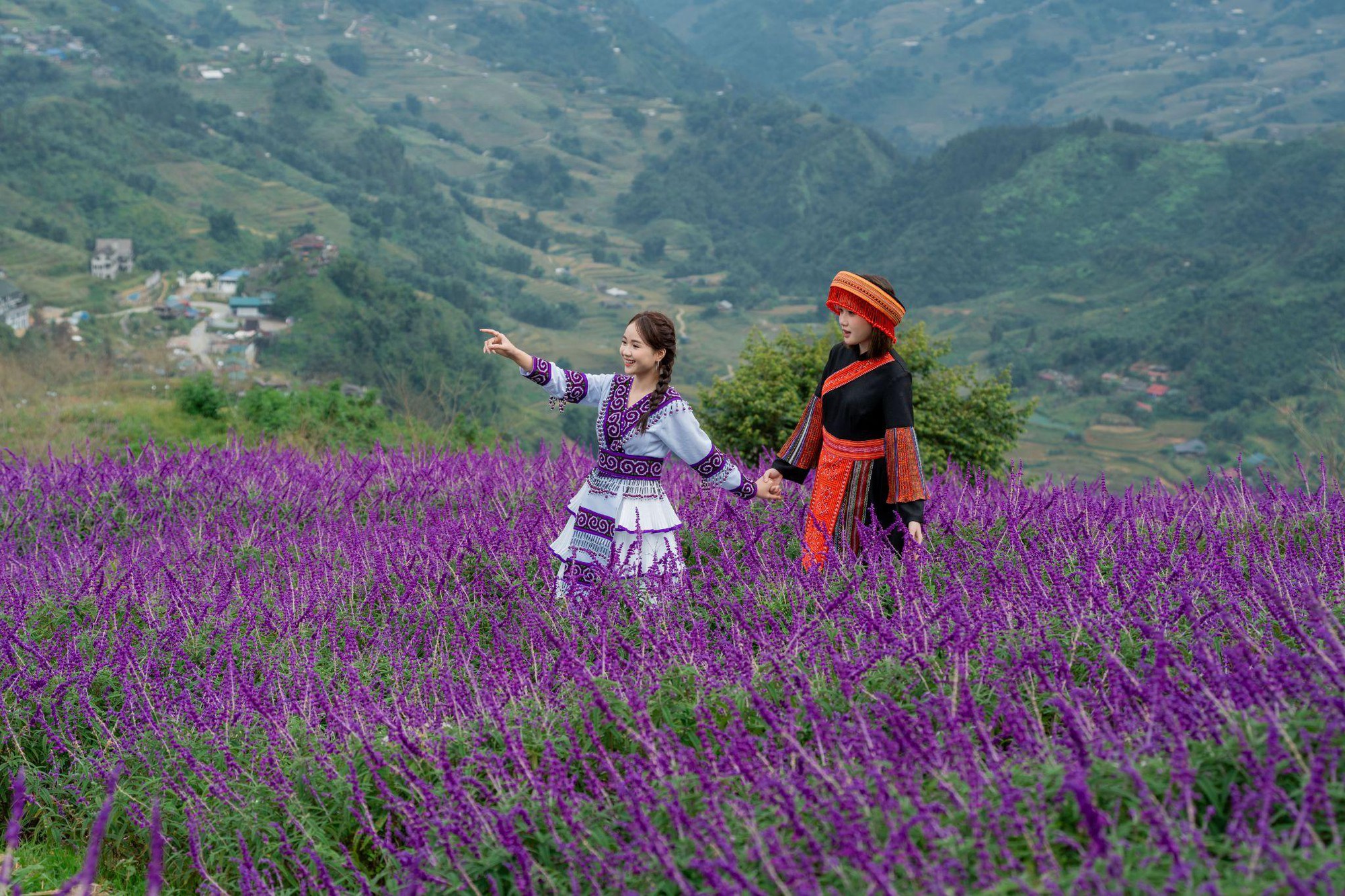 Lạc vào “miền cổ tích” trên đỉnh Fansipan mùa mây- Ảnh 6. C:\Users\haht02\Desktop\Fansipan mua may\viber_image_2025-10-22_15-23-37-243.jpg