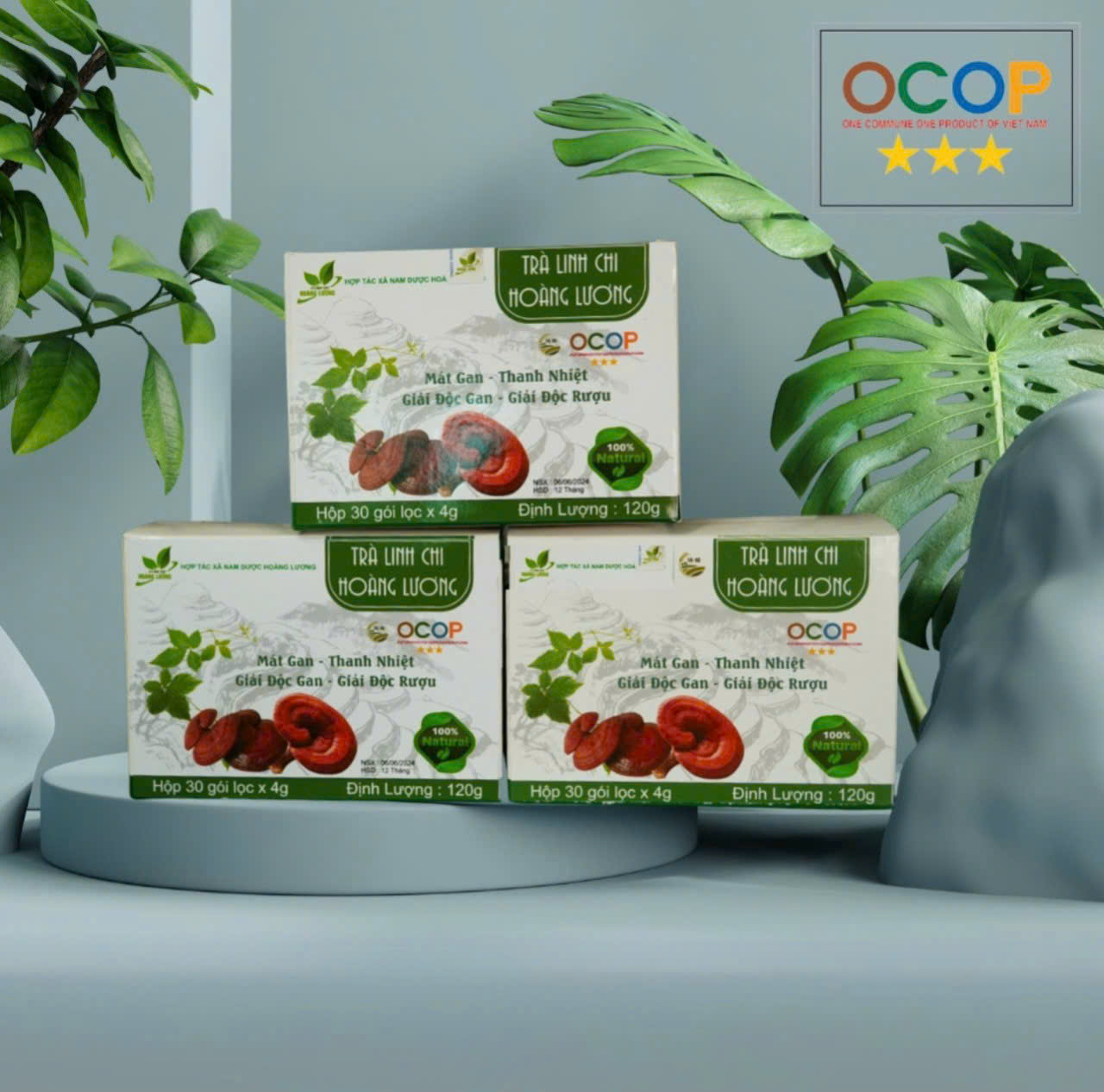 Hành trình biến ruộng hoang thành “vườn thuốc vàng” của chàng trai 9x Tiền Hải- Ảnh 4. Hành trình biến ruộng hoang thành “vườn thuốc vàng” của chàng trai 9x Tiền Hải- Ảnh 4.