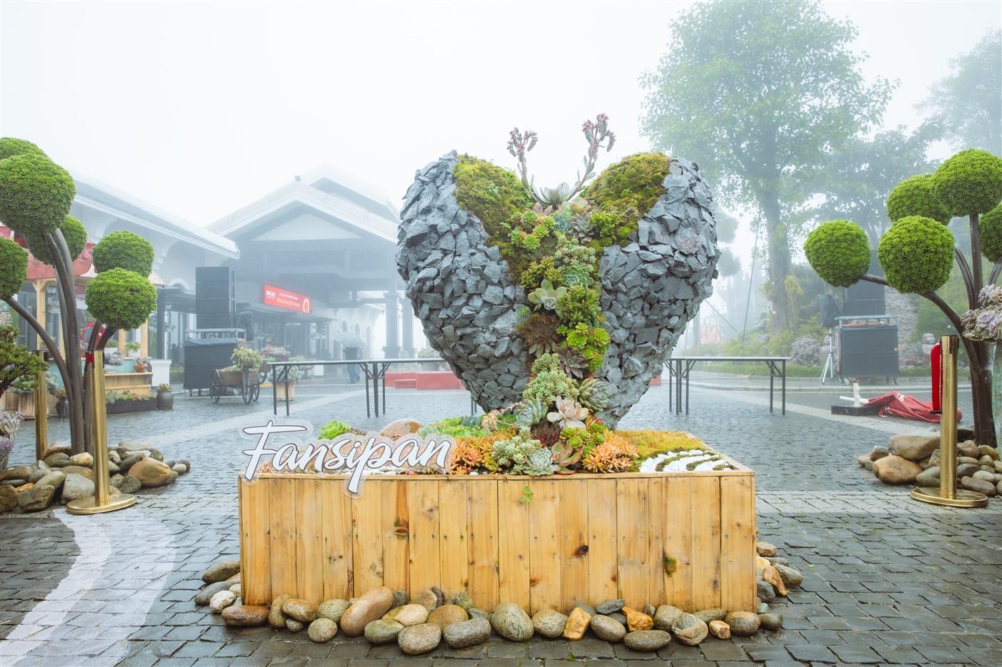 Du khách Tây thích thú săn mây, check in hoa Sen đá trên đỉnh Fansipan- Ảnh 2. C:\Users\haht02\Desktop\LH Hoa sen da_rz\_IEU9348.jpg