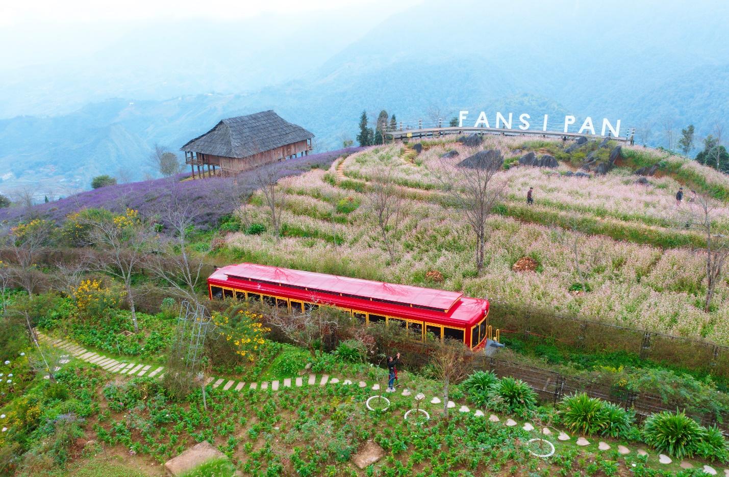 Du khách Tây thích thú săn mây, check in hoa Sen đá trên đỉnh Fansipan- Ảnh 10. C:\Users\haht02\Downloads\HYPERLAPSE_0021 (1).jpg