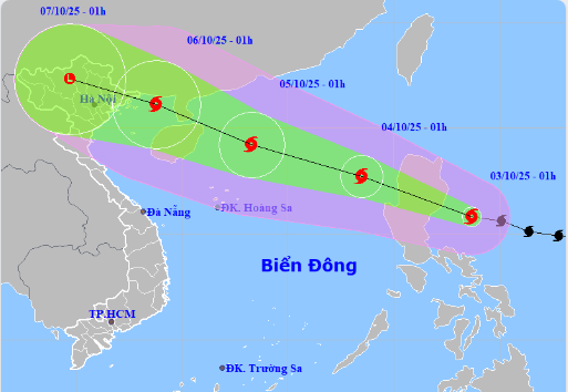 Hải Phòng: Chủ động triển khai các biện pháp ứng phó với bão Matmo- Ảnh 1.