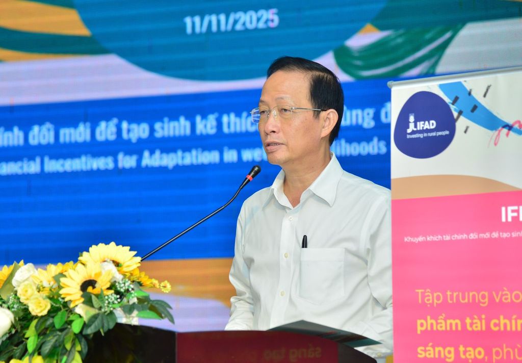 Một dự án 5 triệu USD của Liên hợp quốc có thể "thay đổi cuộc đời" của 21.000 người Việt Nam- Ảnh 2.