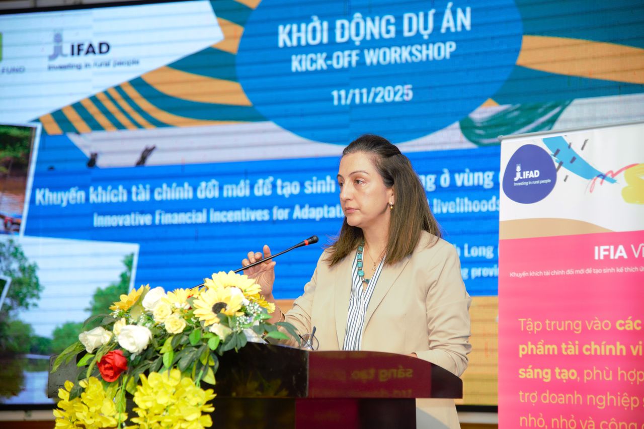 Một dự án 5 triệu USD của Liên hợp quốc có thể "thay đổi cuộc đời" của 21.000 người Việt Nam- Ảnh 3.