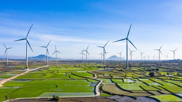 Quảng Trị mở đường cho dự án 9.127 tỷ, khai thác "kho báu trời cho"- Ảnh 1. Quảng Trị mở đường cho dự án 9.127 tỷ, khai thác "kho báu trời cho"- Ảnh 1.