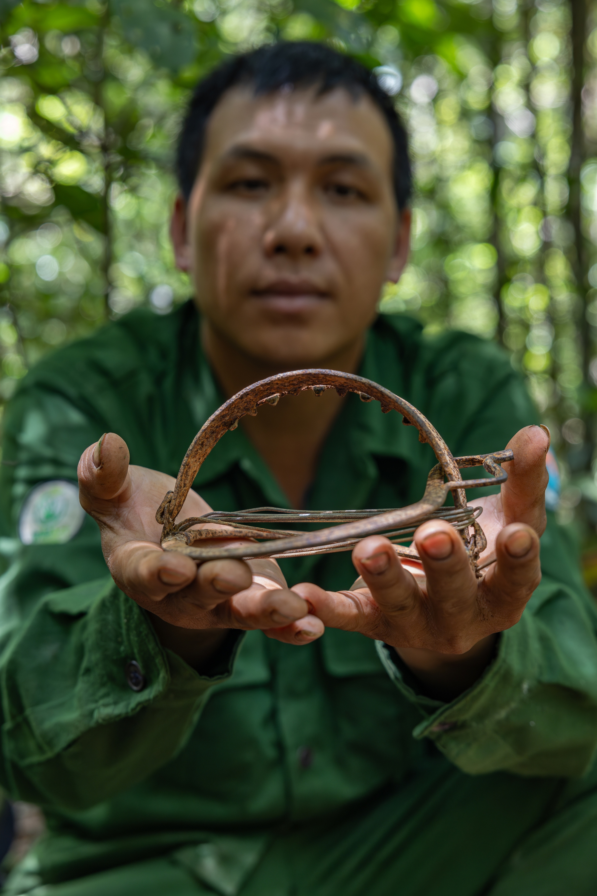 Bí mật trong cánh rừng nguyên sinh hiếm hoi của Việt Nam- Ảnh 2. Bí mật trong cánh rừng nguyên sinh hiếm hoi của Việt Nam- Ảnh 2.
