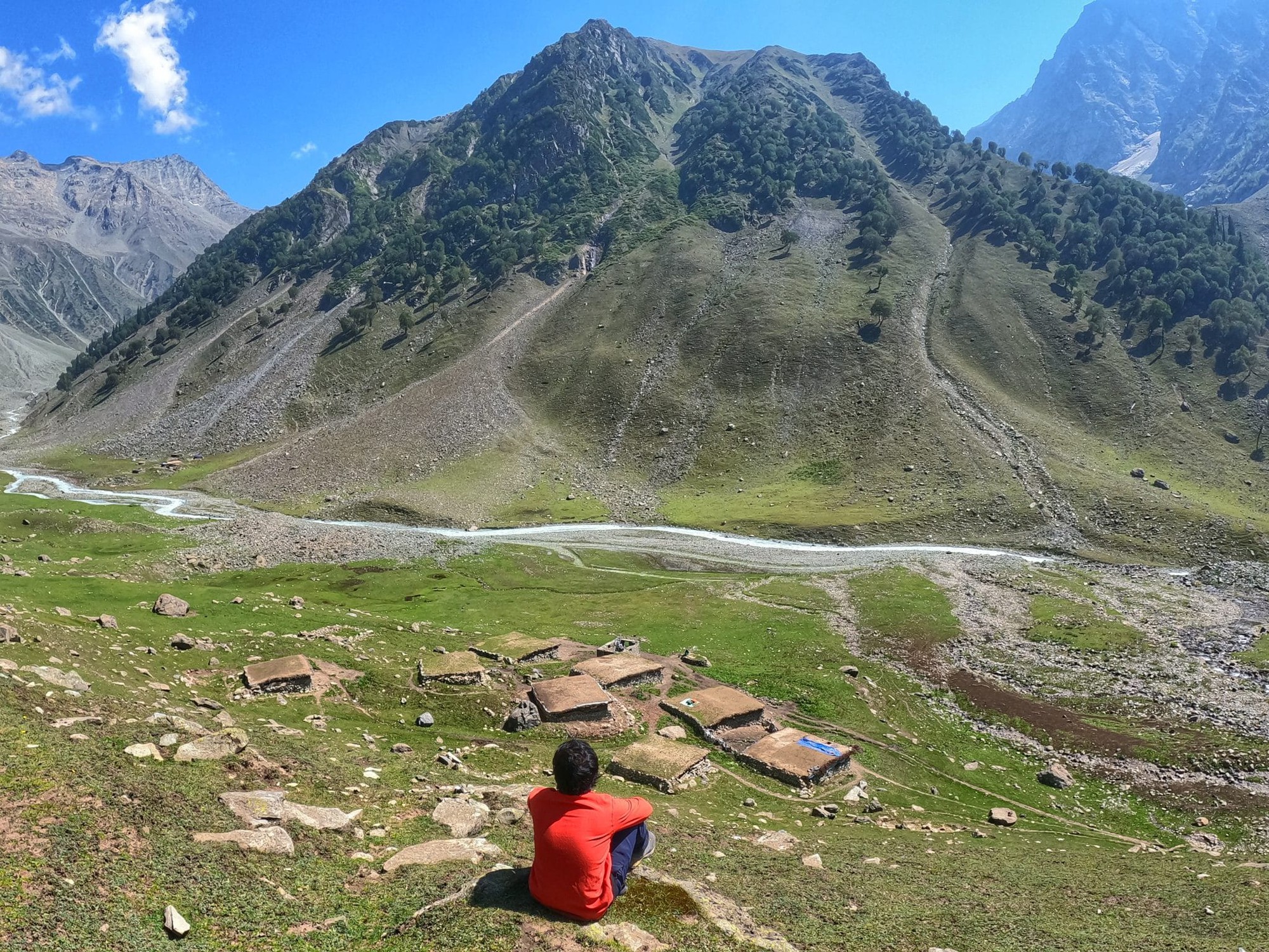 Nghề "hái ra tiền" không cần bằng cấp, làm một tháng đủ tiêu cả năm- Ảnh 1.