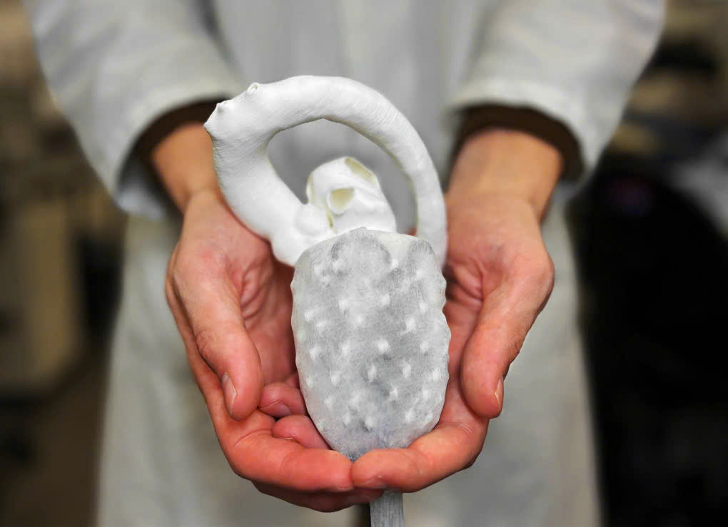 Nhiều chuyên gia sắp đến Việt Nam bàn cách "thay đổi cuộc sống" cho hàng nghìn người- Ảnh 2.