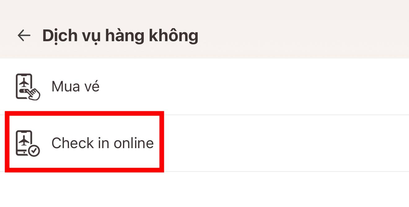 Chỉ hành khách có hành lý ký gửi, khách đặc biệt mới làm thủ tục tại quầy sân bay- Ảnh 4.