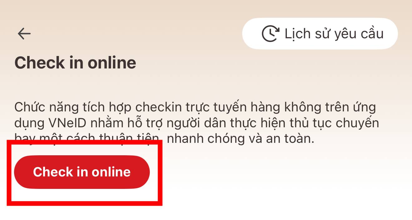 Chỉ hành khách có hành lý ký gửi, khách đặc biệt mới làm thủ tục tại quầy sân bay- Ảnh 5.