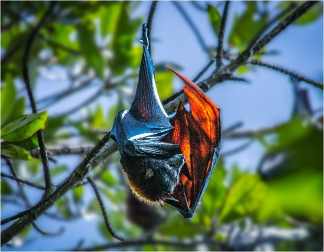 TP. Hồ Chí Minh dự kiến chi 1,6 tỷ/ngày để làm một việc quan trọng- Ảnh 1. TP. Hồ Chí Minh dự kiến chi 1,6 tỷ/ngày để làm một việc quan trọng- Ảnh 1.