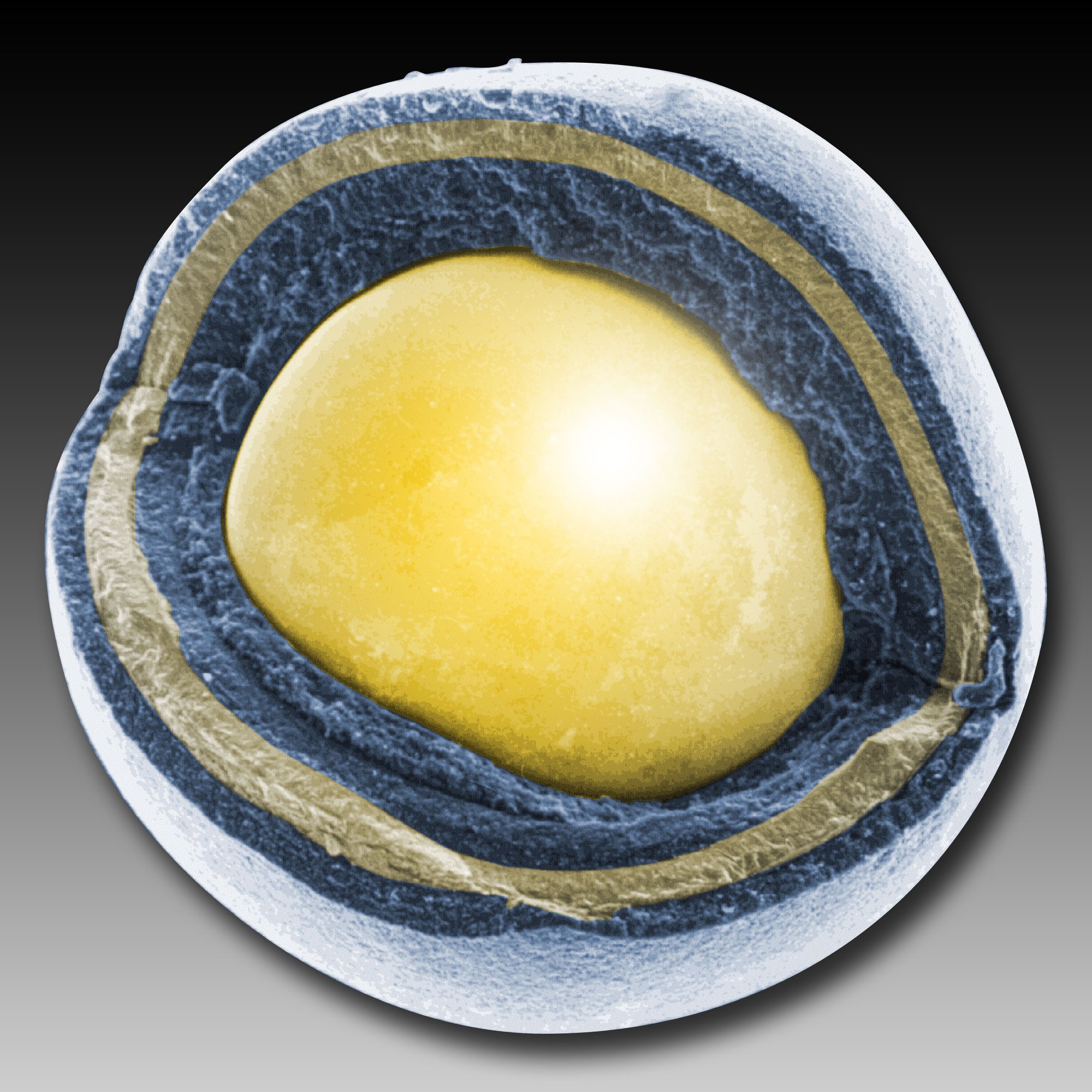 Tin nóng về "nhiên liệu hạt nhân mạnh nhất Trái đất" có thể làm chao đảo giới nguyên tử toàn cầu- Ảnh 3.