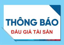 Công ty đấu giá hợp danh Bắc Trung Nam thông báo đấu giá lần 2- Ảnh 1.