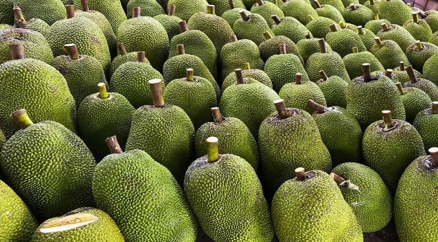 Quả mít Việt Nam sẽ được phép xuất khẩu chính ngạch sang Trung Quốc- Ảnh 1.