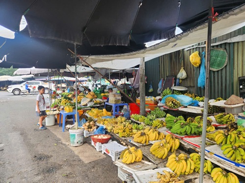 Hà Nội: Triển khai các giải pháp xử lý “chợ cóc", điểm kinh doanh tự phát- Ảnh 1.